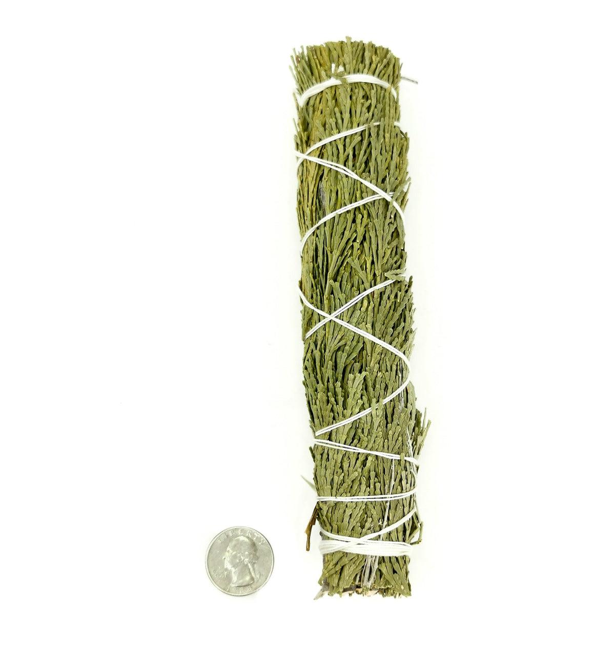 Cedar and sweetgrass 8 inch smudge stick – single stick beside a coin for scale