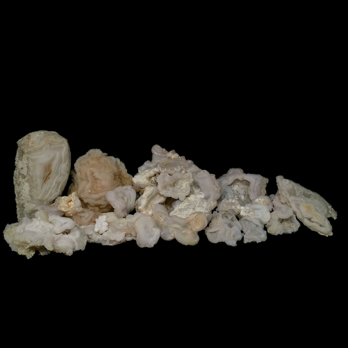 Chalcedony roses from New Mexico – row of pieces