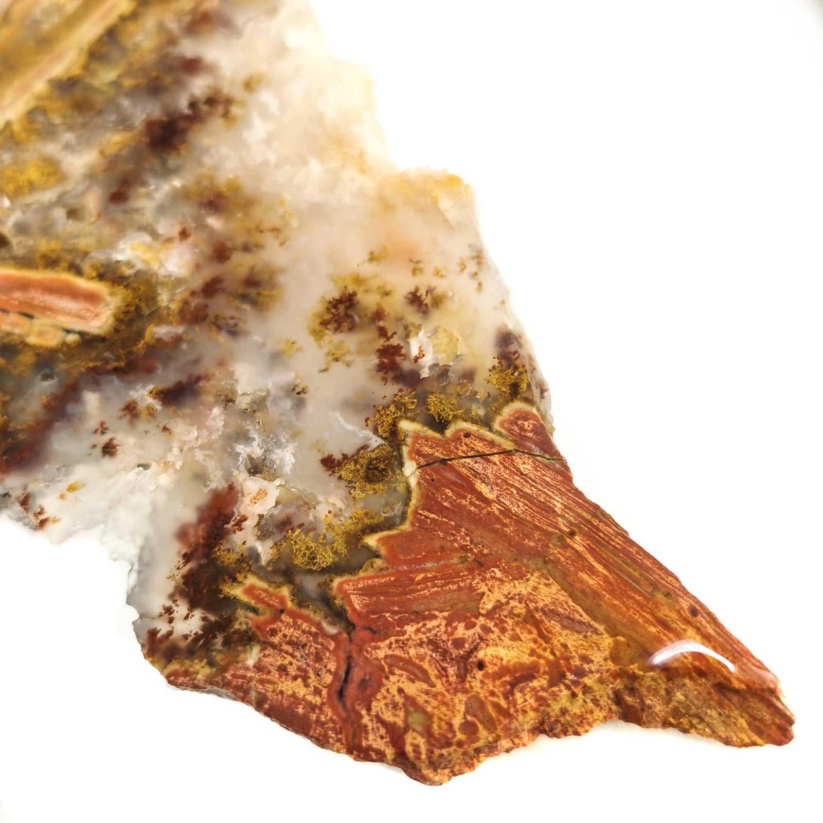 Carey Point Plume Agate - Rough