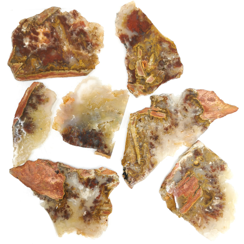 Carey Point Plume Agate - Rough