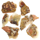 Carey Point Plume Agate - Rough