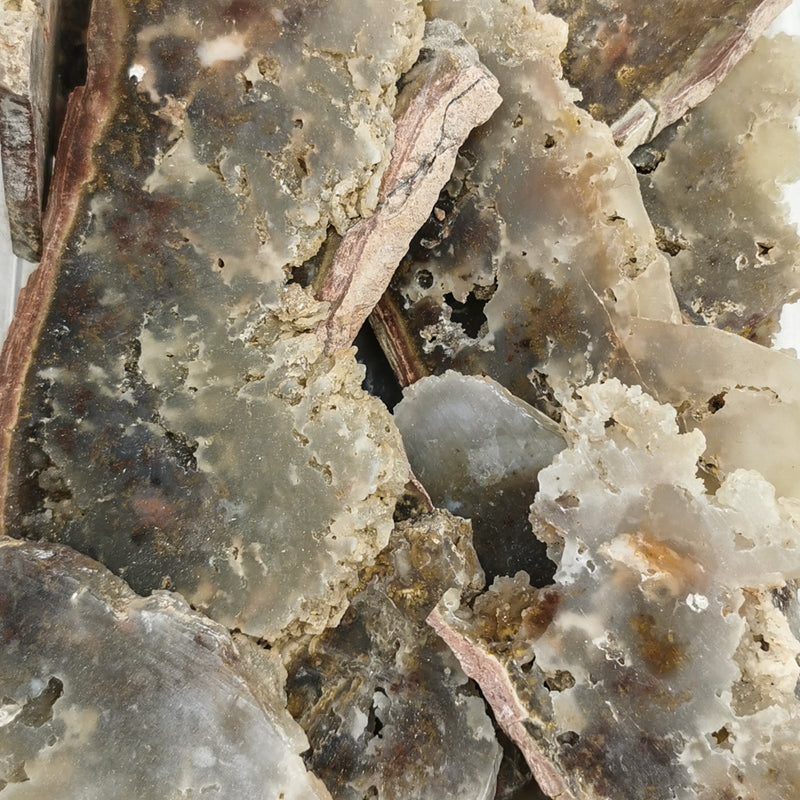 Carey Point Plume Agate - Rough