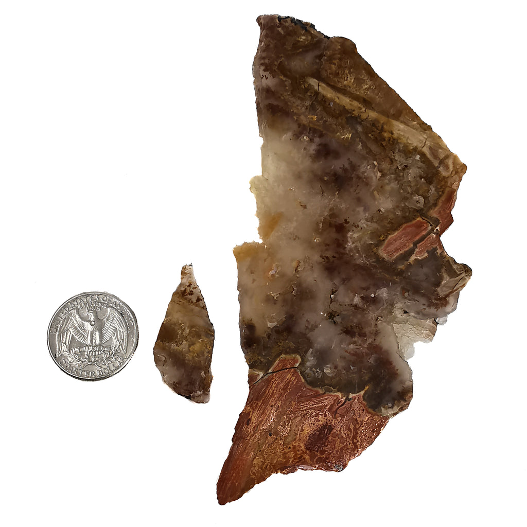 Carey Point Plume Agate - Rough