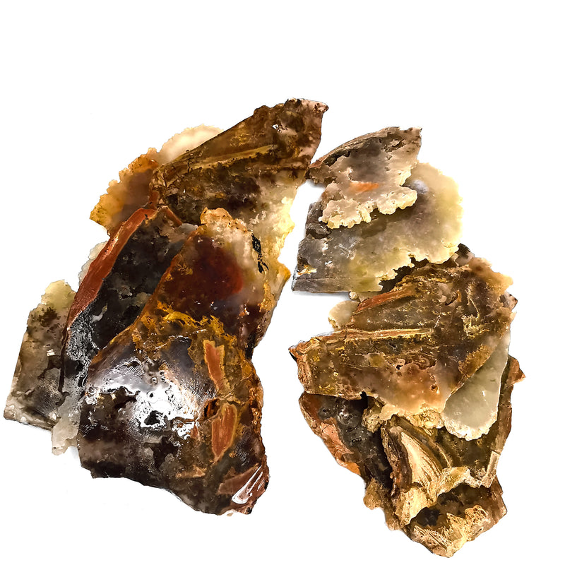 Carey Point Plume Agate - Rough