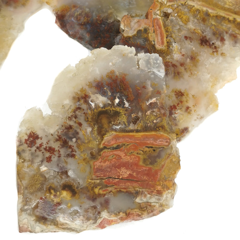 Carey Point Plume Agate - Rough