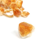 Citrine Dragon Tooth (Small) - Mineral