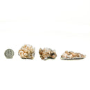 钴矿方解石 - 矿物