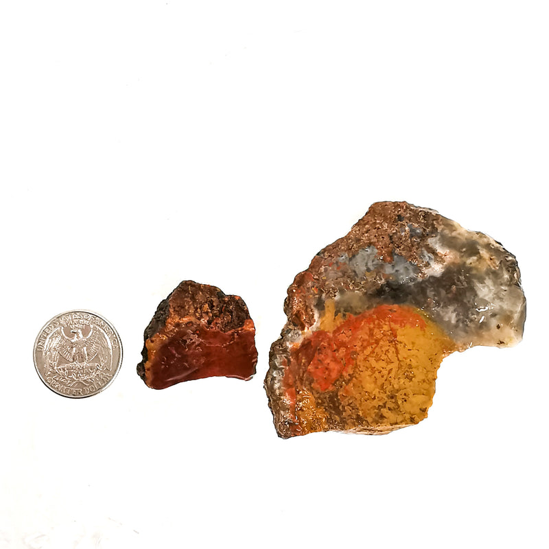 Coprolite Value Coprolite - Rough