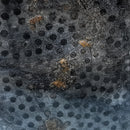 珊瑚切割底座 - 化石