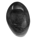 珊瑚切割底座 - 化石