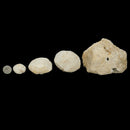 Quartz Geode - (Cracked) - Pair - Mineral