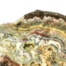 Crazy Lace Agate - Rough