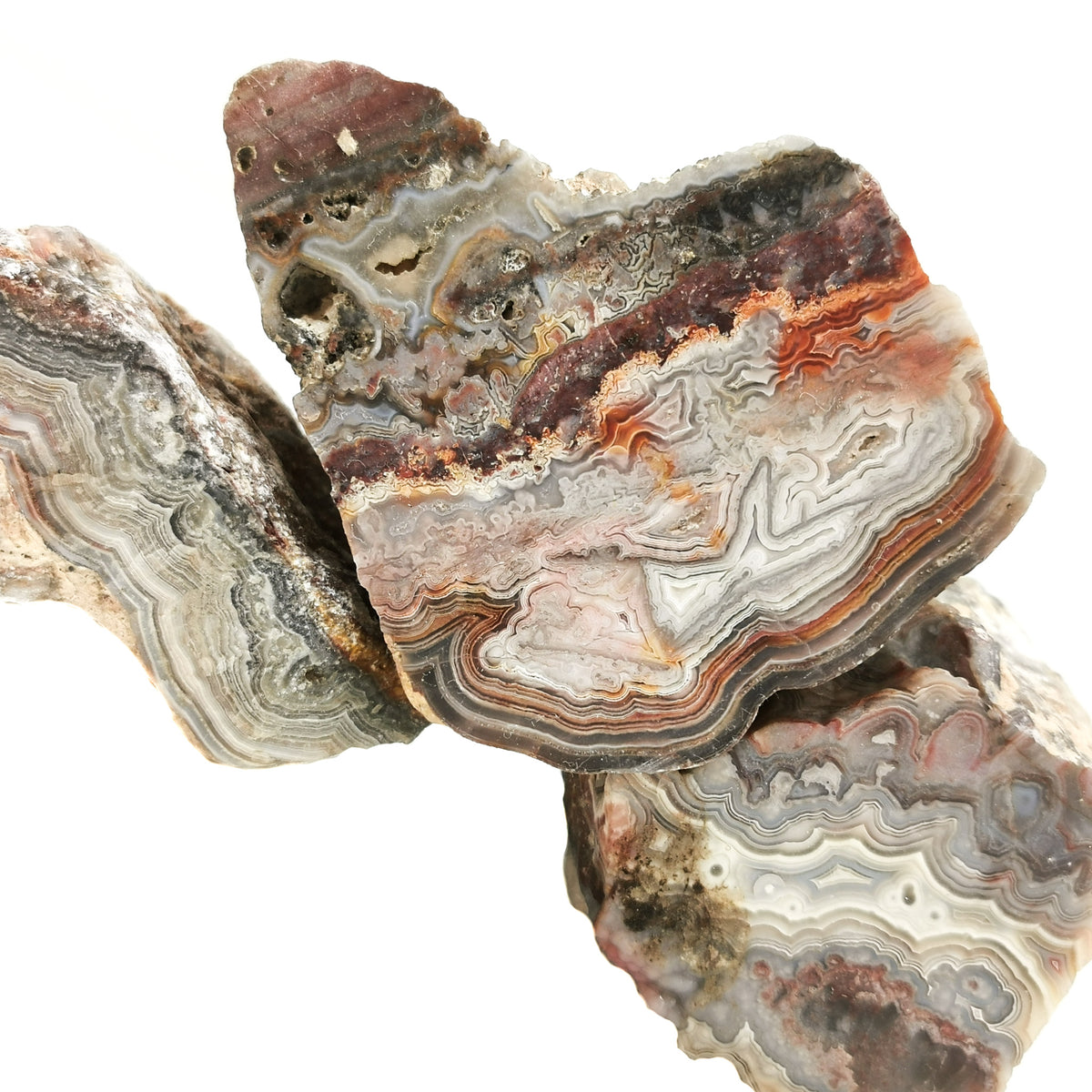 Crazy Lace Agate rough, a variety of chalcedony, from Chihuahua, Mexico.