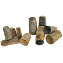 海百合茎 - 化石