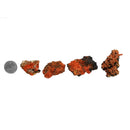 Crocoite - Mineral