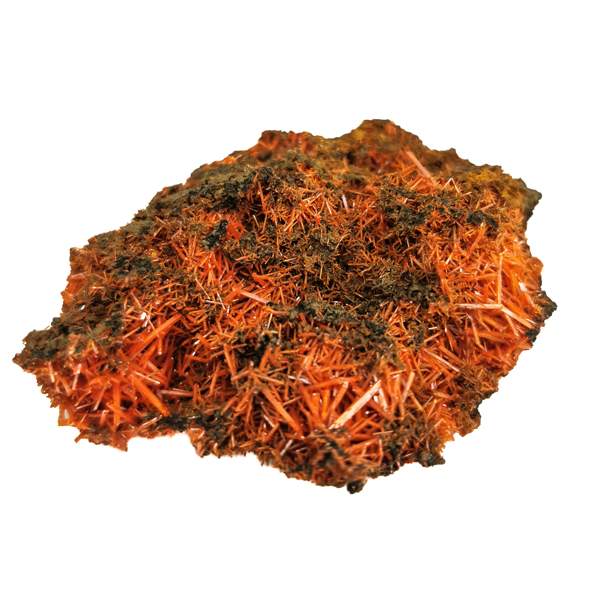 Crocoite specimen from The Adelaide Mine, Dundas, Australia.