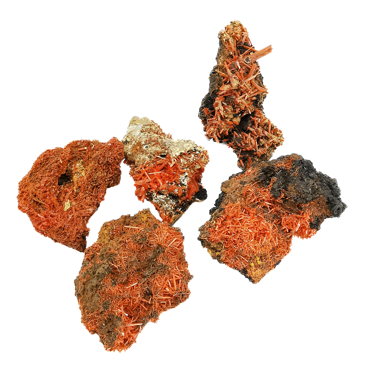 Crocoite specimen from The Adelaide Mine, Dundas, Australia.