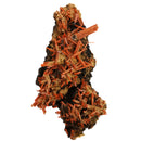 Crocoite - Mineral