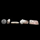 Danburite w Aragonite - Mineral