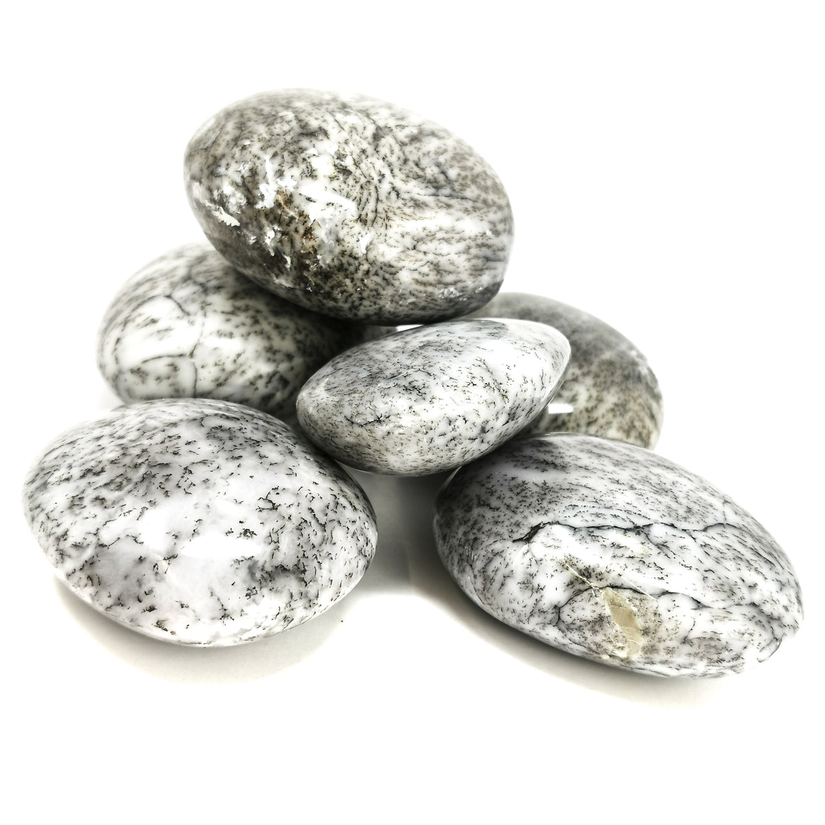 Dendritic Agate Palm Stone, a variety of chalcedony, from Madagascar.