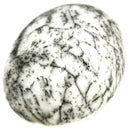 Dendritic Agate Palm Stone