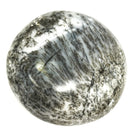 Dendritic Agate Palm Stone