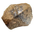 Dendritic Opal/Agate - Rough