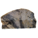 Dendritic Opal/Agate - Rough