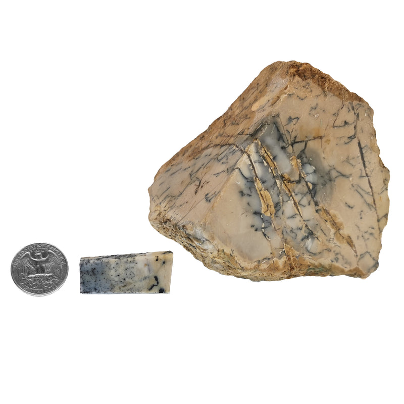 Dendritic Opal/Agate - Rough