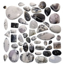 树枝状蛋白石/玛瑙 - 凸圆形