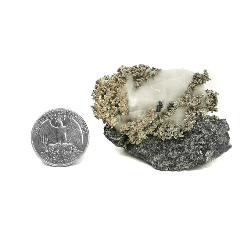 樹枝狀銀礦石 - 標本