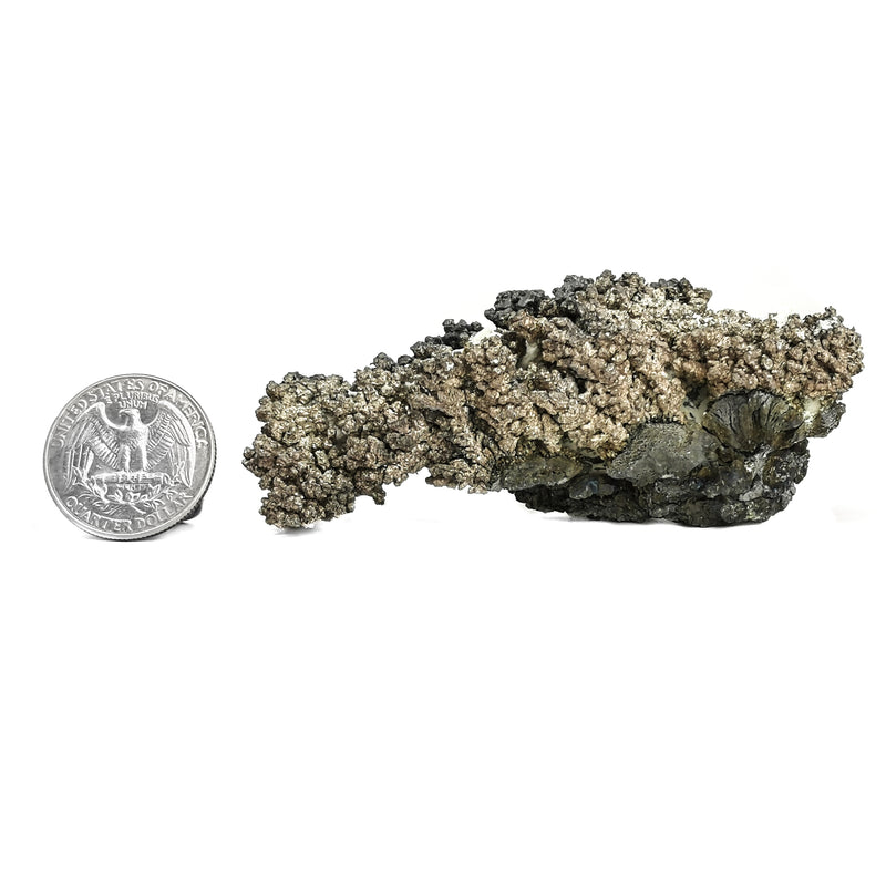 Dendritic Silver Ore - Specimen