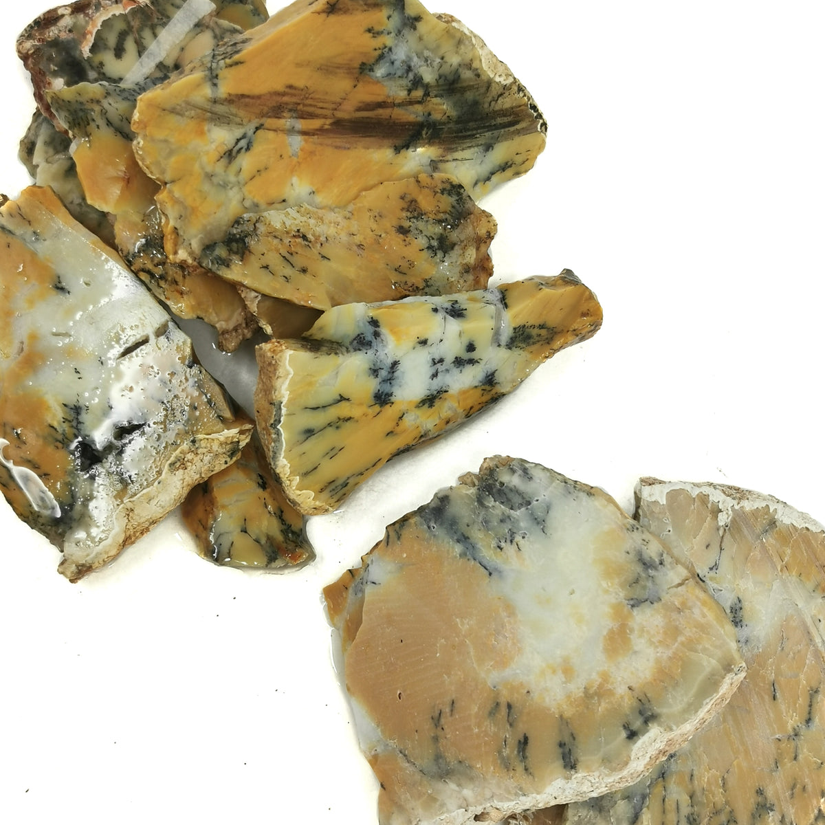 Dendritic Yellow Opal rough, hydrated silica, from Kalgoorlie, Western Australia, Australia.