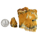 Dendritic Yellow Opal - Rough