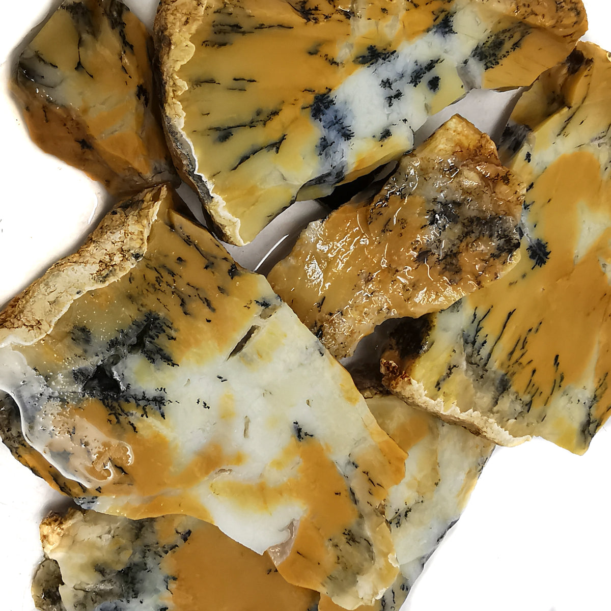 Dendritic Yellow Opal rough, hydrated silica, from Kalgoorlie, Western Australia, Australia.