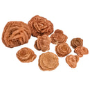 Gypsum Rose - Mineral