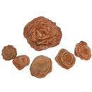 Gypsum Rose - Mineral