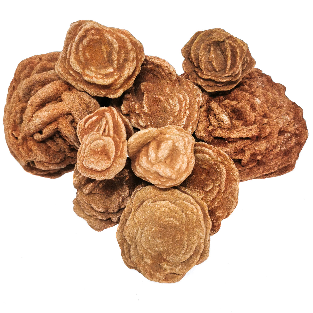 Gypsum Rose specimen from Oklahoma, USA.