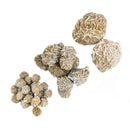 Desert Rose - Mineral