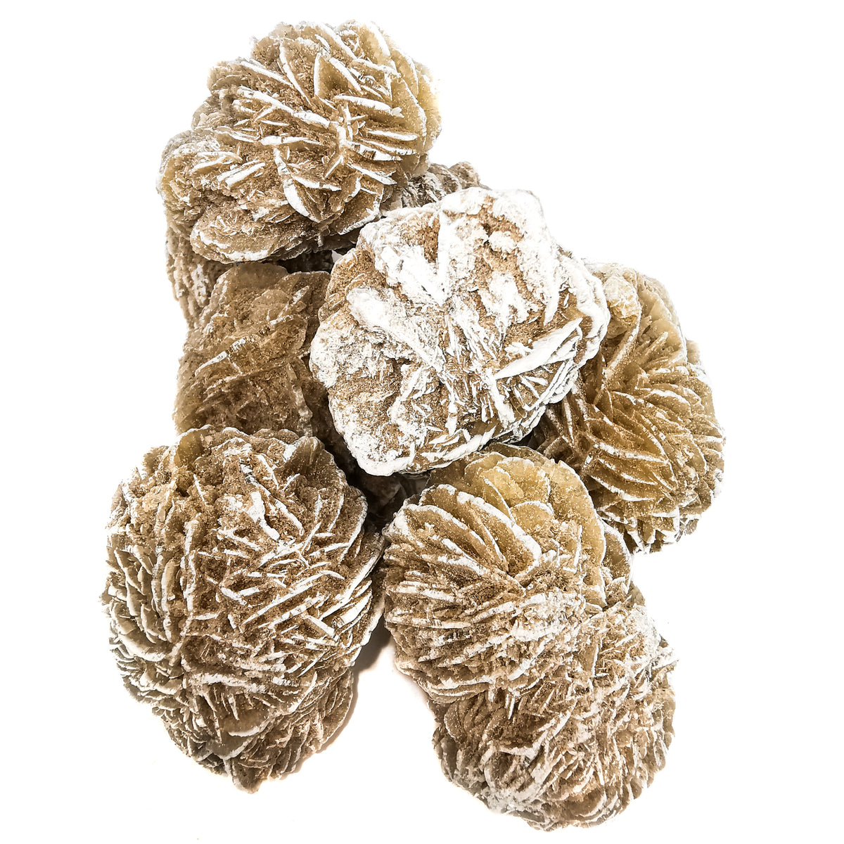 Desert Rose specimen from Samalayuca, Chihuahua, Mexico.