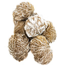 Desert Rose - Mineral