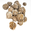 Desert Rose - Mineral