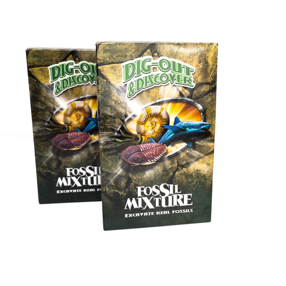 Dig Your Own Fossil kit.