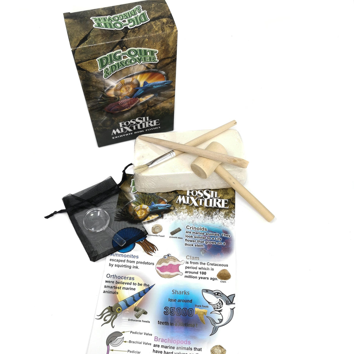 Dig Your Own Fossil kit.
