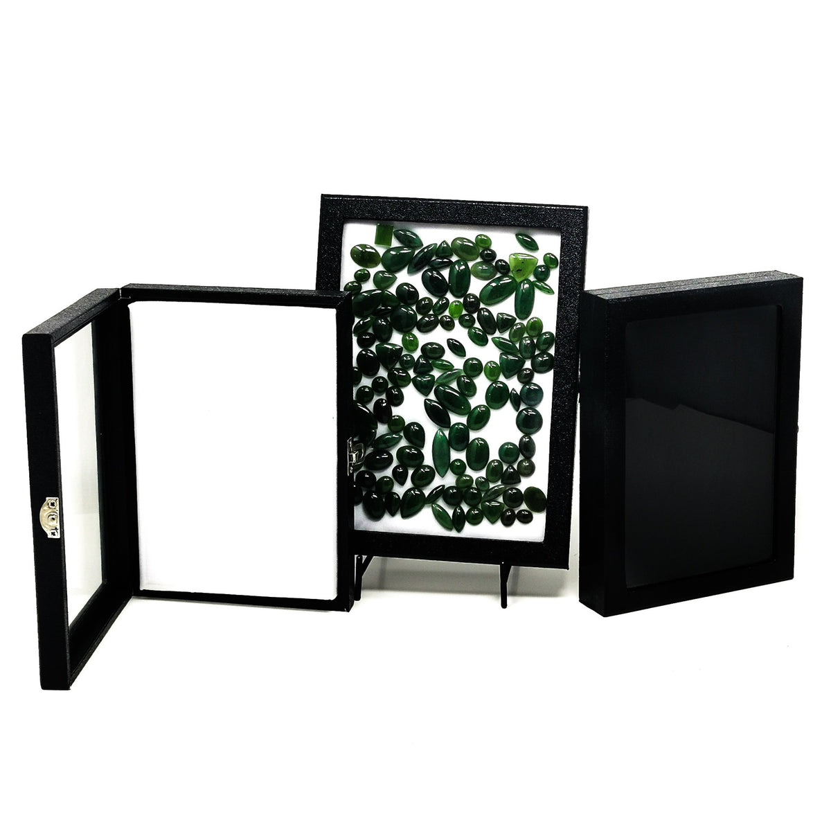 Display Case with Buckle.