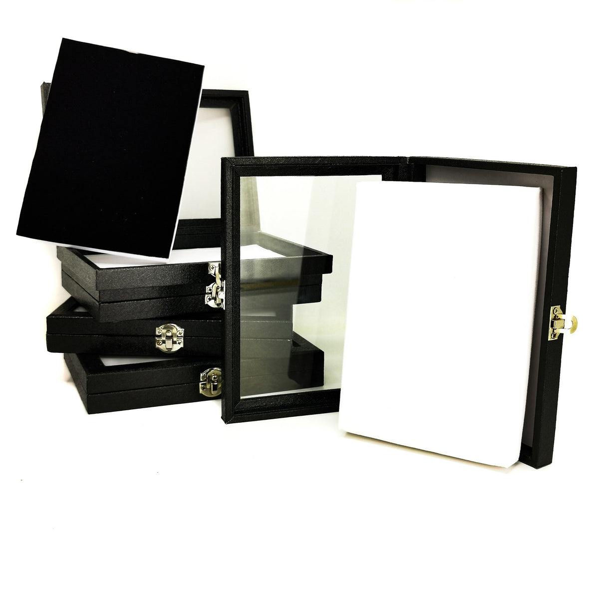 Display Case with Buckle.
