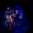 Dog Tooth Calcite - Mineral