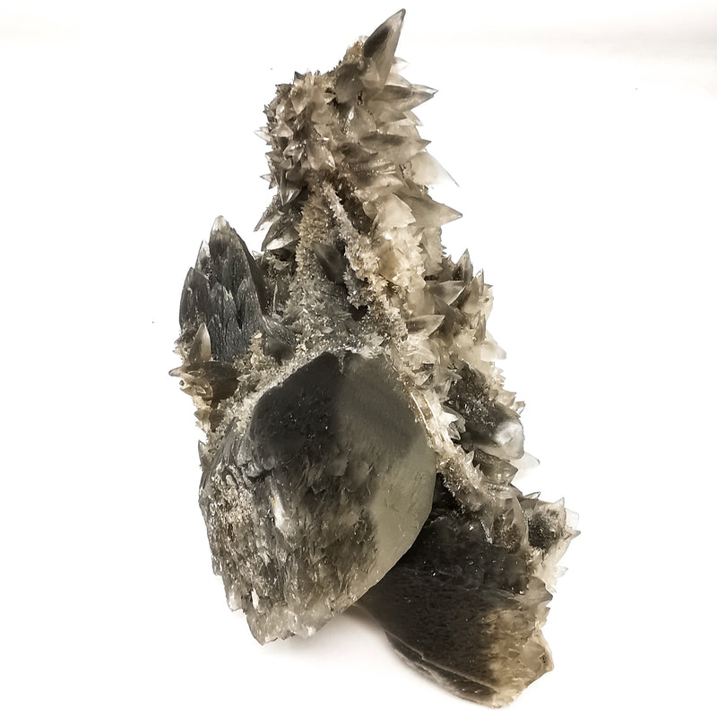 Black Dogtooth Calcite - Mineral Specimen