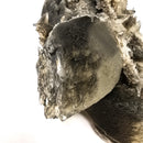 Black Dogtooth Calcite - Mineral Specimen