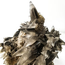 Black Dogtooth Calcite - Mineral Specimen